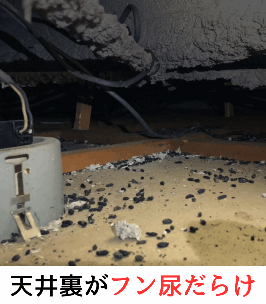 BIO HAZARD MANAGEMENT
