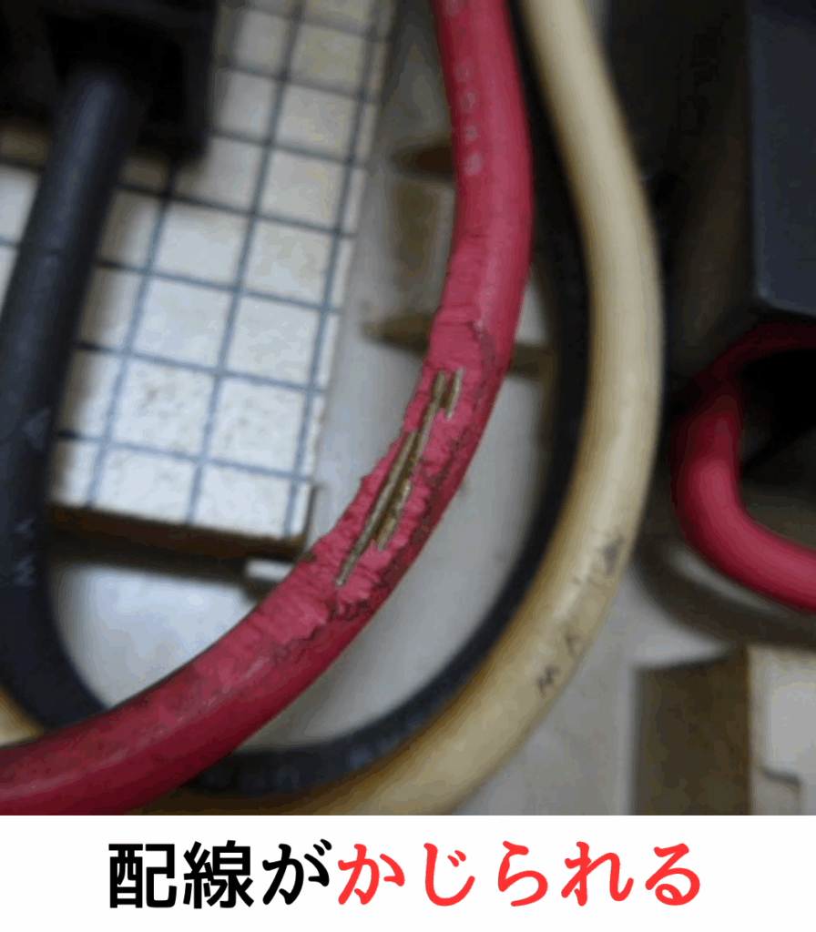 BIO HAZARD MANAGEMENT